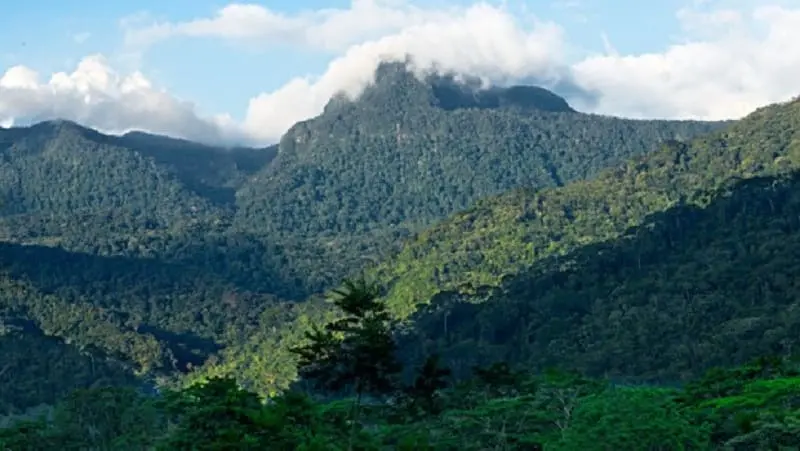 Montañas de la Cordillera la Escalera, Tarapoto